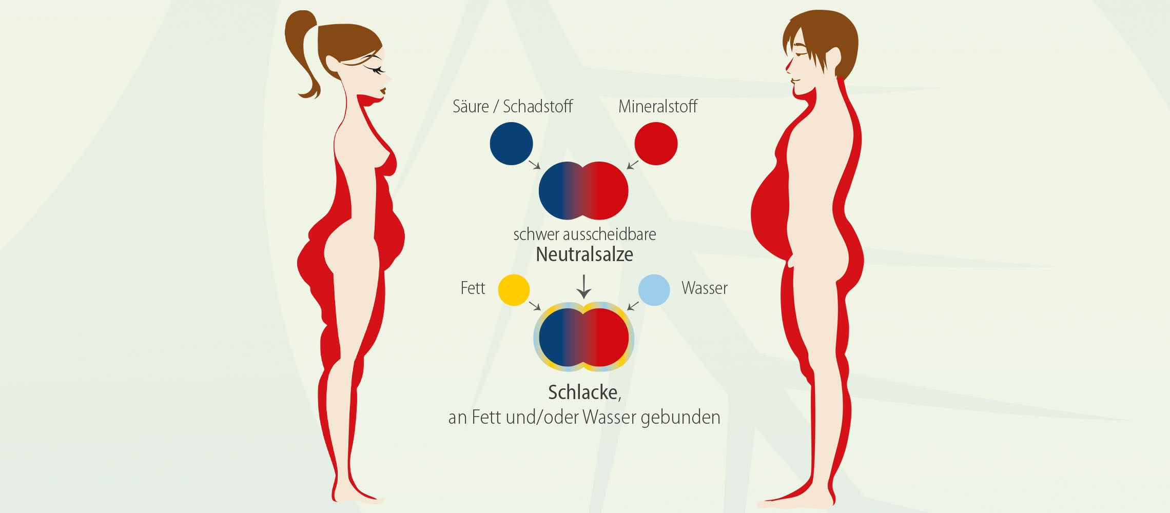 Trotz Sport und Diäten kein Abnehmen & kein Fettabbau