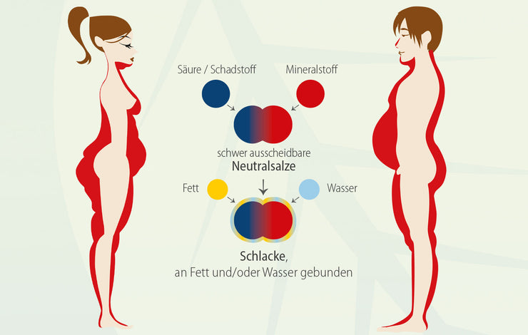 Trotz Sport und Diäten kein Abnehmen & kein Fettabbau